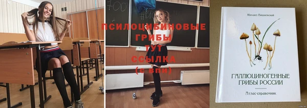 крисы Архангельск