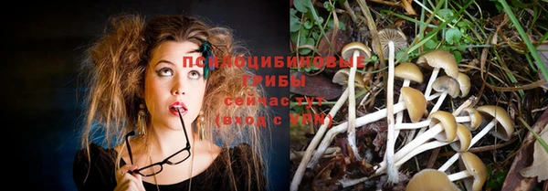 spice Баксан