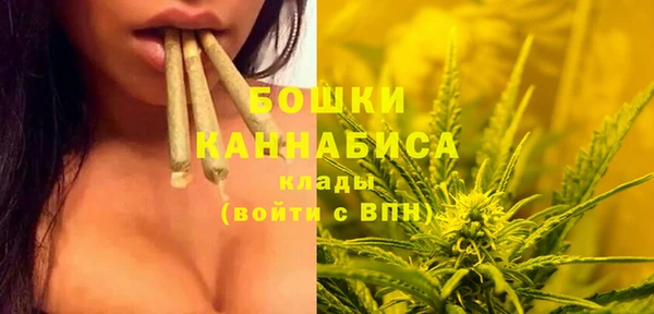 spice Баксан